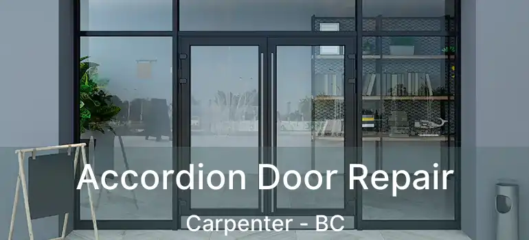 Accordion Door Repair Carpenter - BC