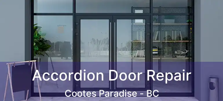  Accordion Door Repair Cootes Paradise - BC