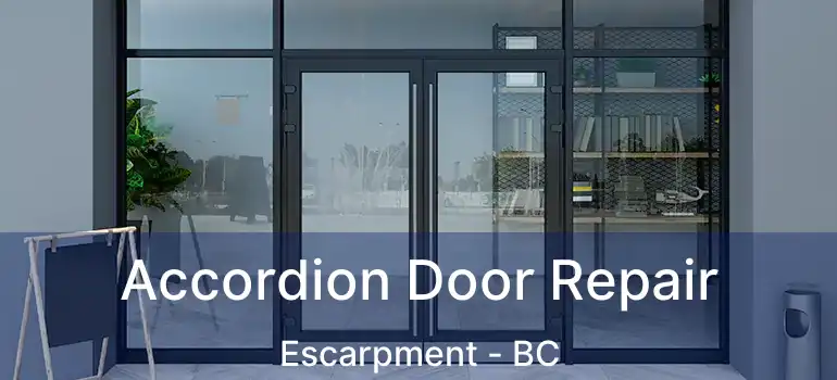  Accordion Door Repair Escarpment - BC