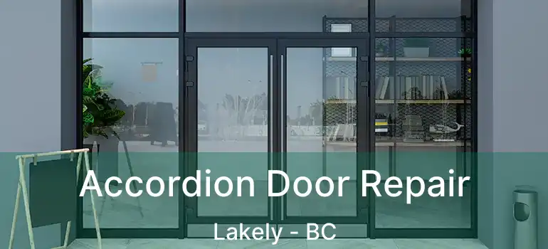  Accordion Door Repair Lakely - BC