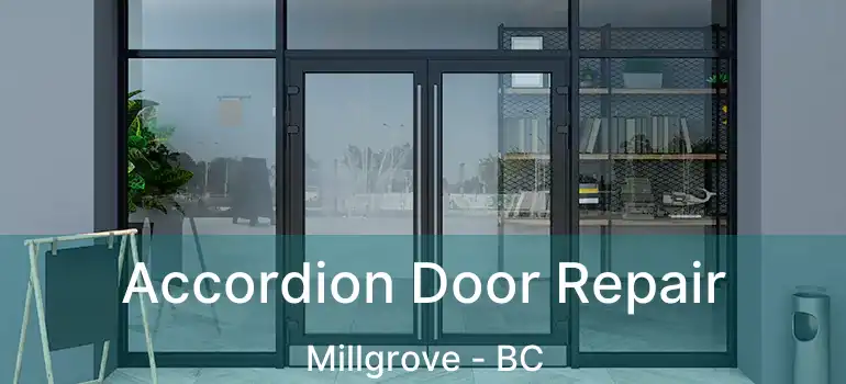 Accordion Door Repair Millgrove - BC