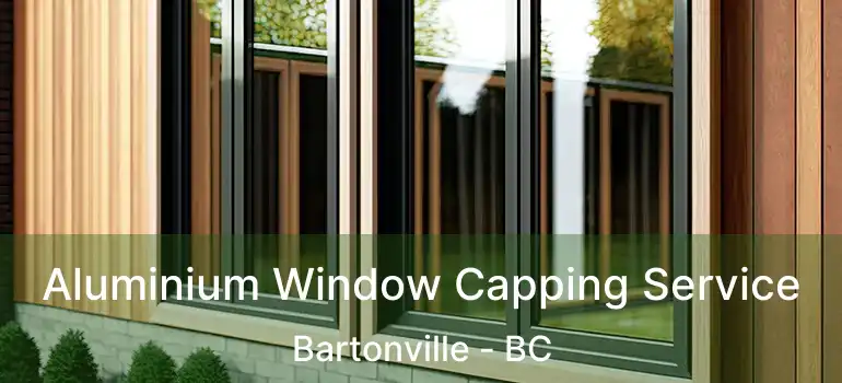  Aluminium Window Capping Service Bartonville - BC