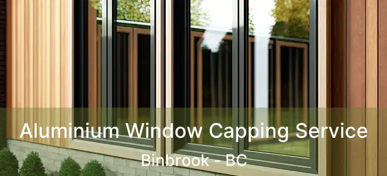 Aluminium Window Capping Service Binbrook - BC