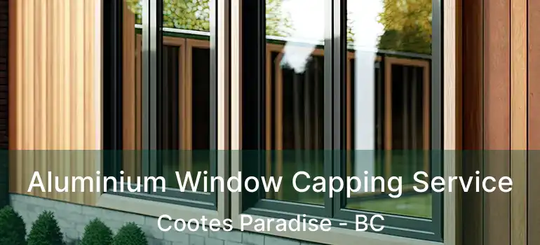  Aluminium Window Capping Service Cootes Paradise - BC