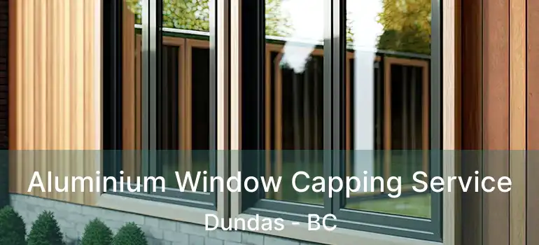  Aluminium Window Capping Service Dundas - BC