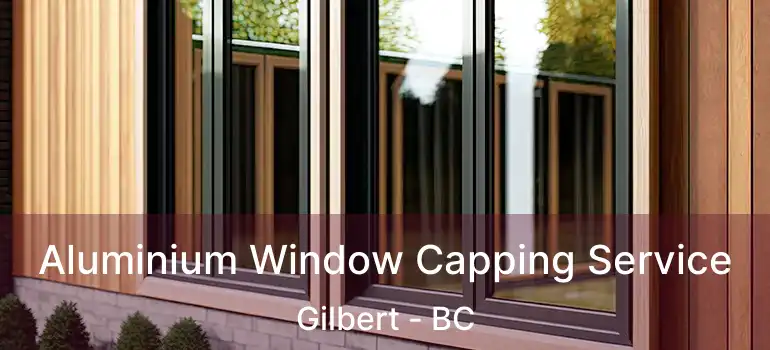  Aluminium Window Capping Service Gilbert - BC