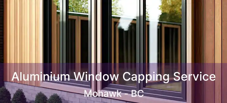  Aluminium Window Capping Service Mohawk - BC