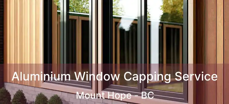  Aluminium Window Capping Service Mount Hope - BC