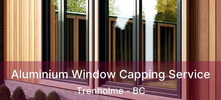  Aluminium Window Capping Service Trenholme - BC