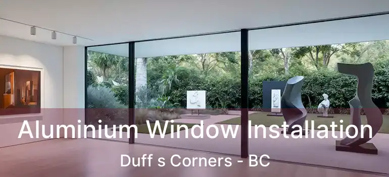  Aluminium Window Installation Duff s Corners - BC