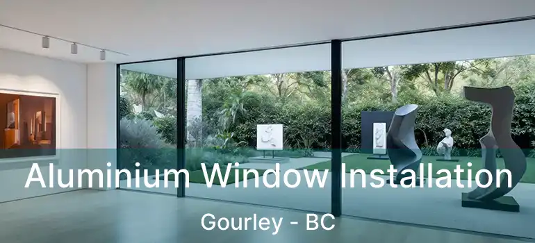  Aluminium Window Installation Gourley - BC