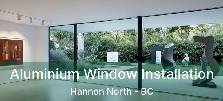  Aluminium Window Installation Hannon North - BC