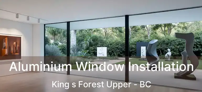  Aluminium Window Installation King s Forest Upper - BC