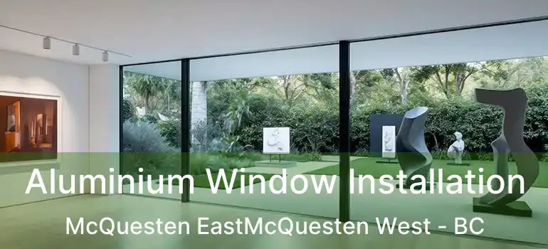  Aluminium Window Installation McQuesten EastMcQuesten West - BC