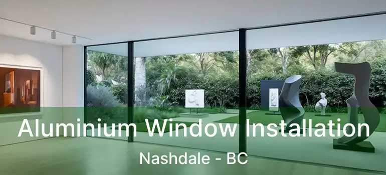  Aluminium Window Installation Nashdale - BC