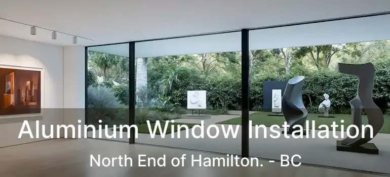  Aluminium Window Installation North End of Hamilton. - BC