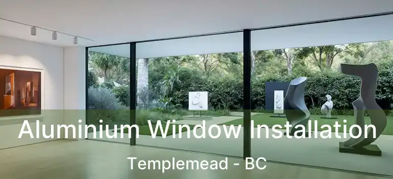  Aluminium Window Installation Templemead - BC