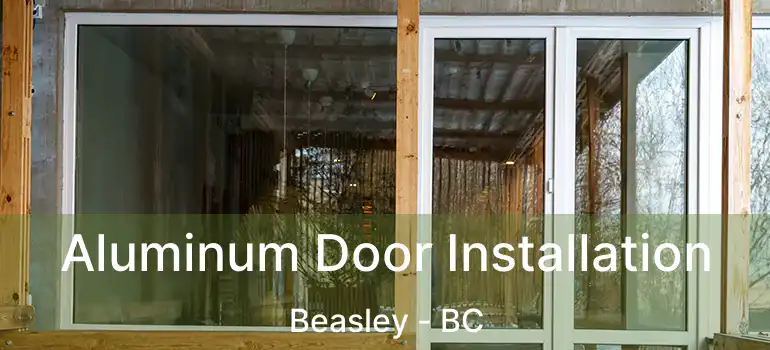  Aluminum Door Installation Beasley - BC
