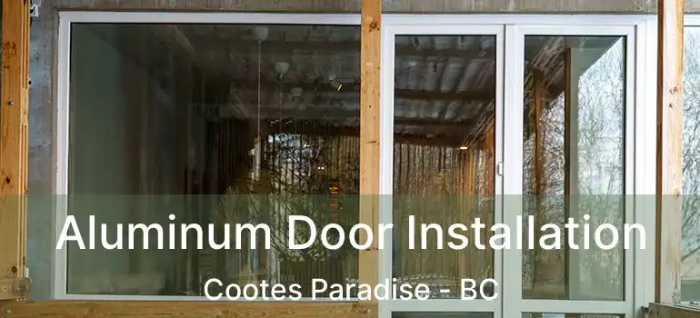  Aluminum Door Installation Cootes Paradise - BC