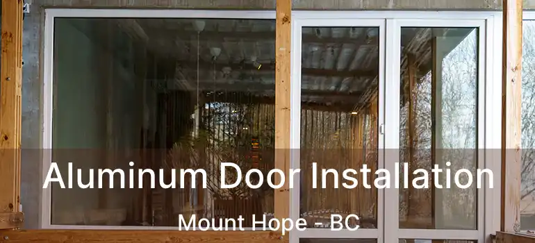  Aluminum Door Installation Mount Hope - BC