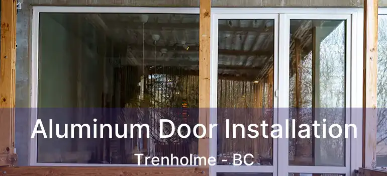  Aluminum Door Installation Trenholme - BC