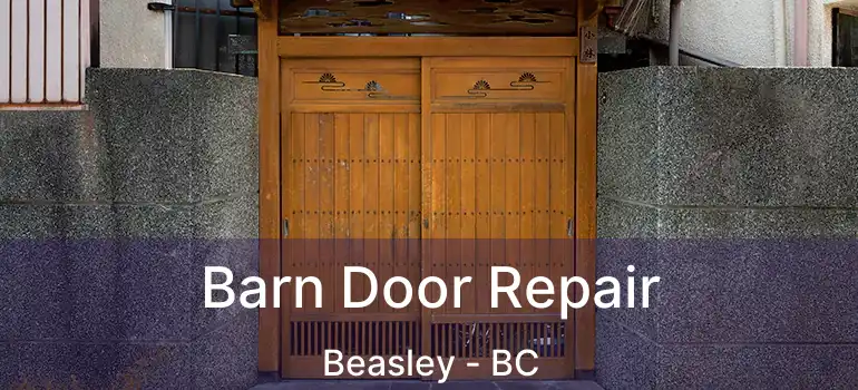  Barn Door Repair Beasley - BC