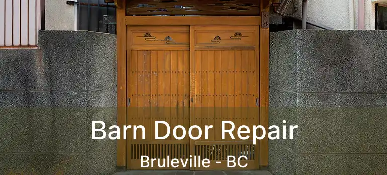  Barn Door Repair Bruleville - BC