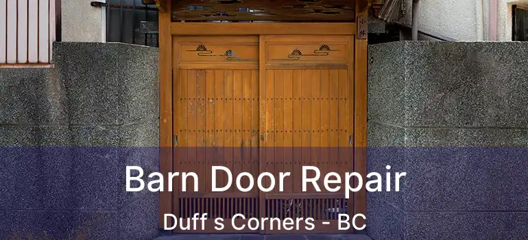  Barn Door Repair Duff s Corners - BC