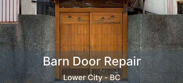  Barn Door Repair Lower City - BC