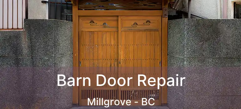  Barn Door Repair Millgrove - BC
