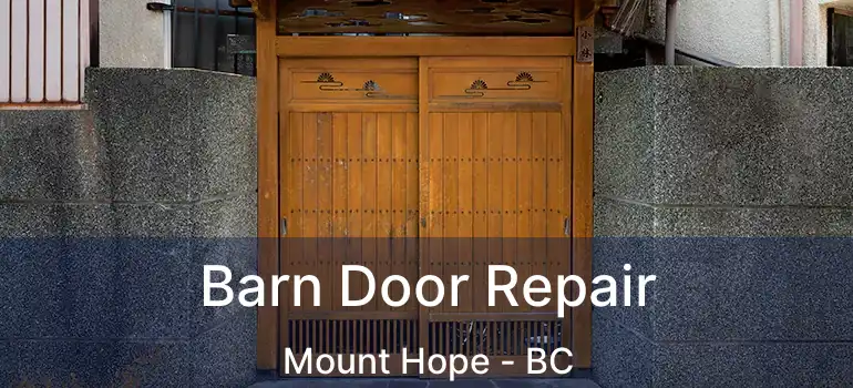  Barn Door Repair Mount Hope - BC