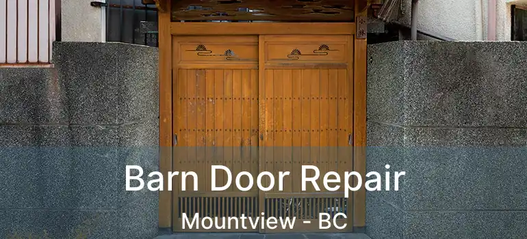  Barn Door Repair Mountview - BC