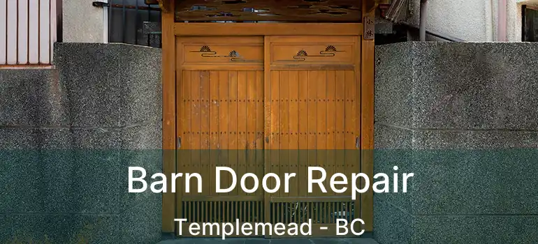  Barn Door Repair Templemead - BC