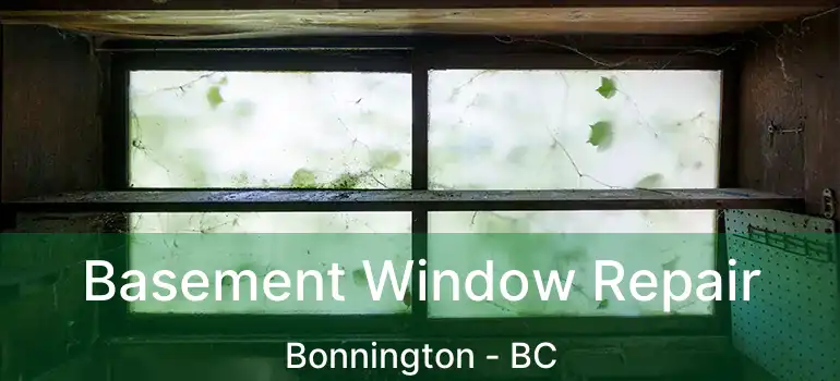  Basement Window Repair Bonnington - BC