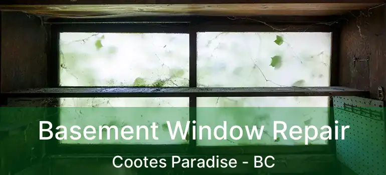  Basement Window Repair Cootes Paradise - BC