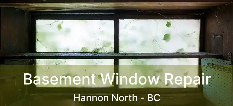  Basement Window Repair Hannon North - BC