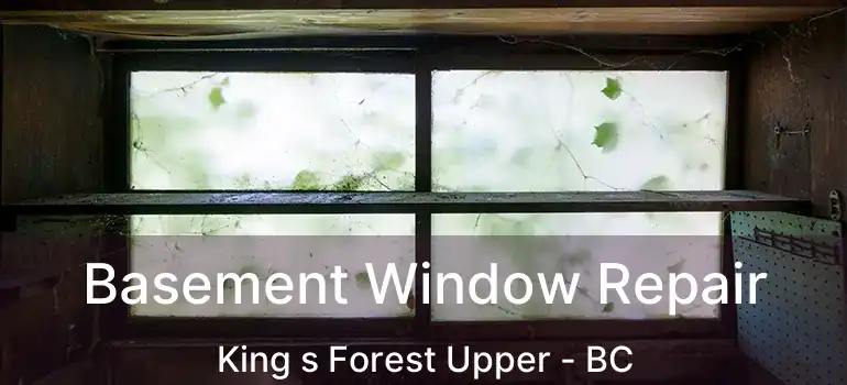  Basement Window Repair King s Forest Upper - BC