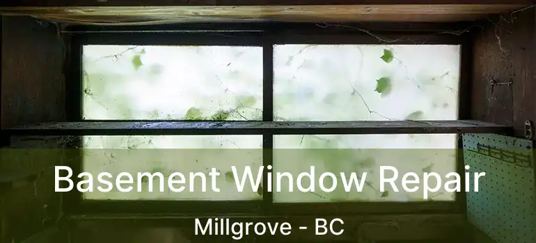  Basement Window Repair Millgrove - BC
