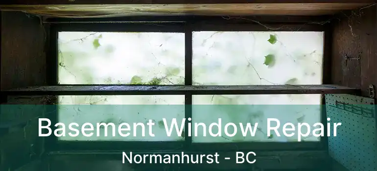  Basement Window Repair Normanhurst - BC