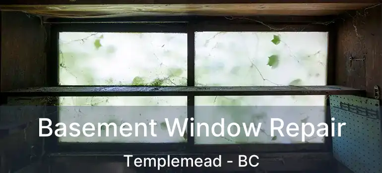  Basement Window Repair Templemead - BC