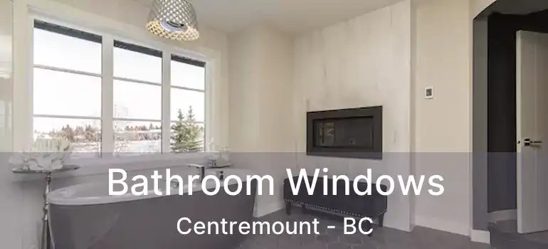  Bathroom Windows Centremount - BC