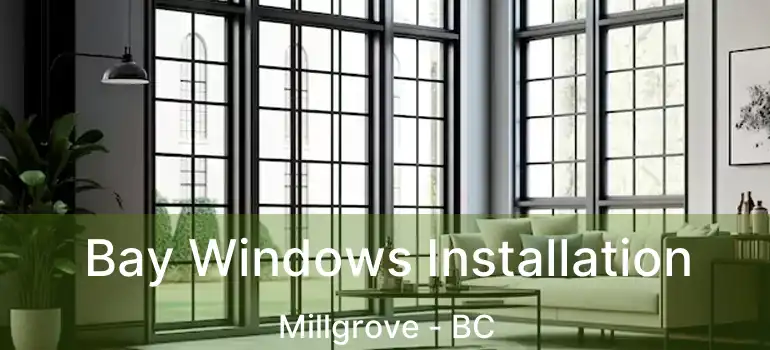  Bay Windows Installation Millgrove - BC