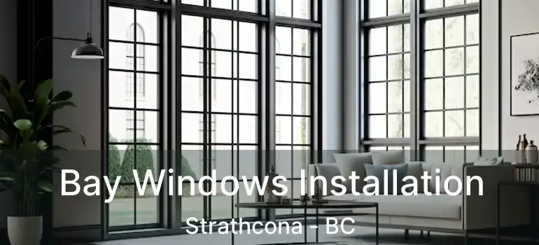  Bay Windows Installation Strathcona - BC