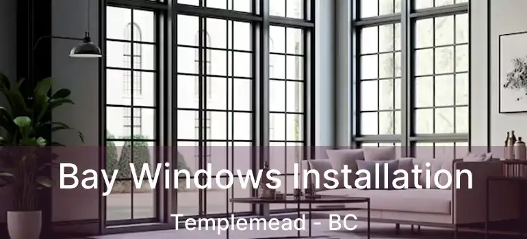  Bay Windows Installation Templemead - BC