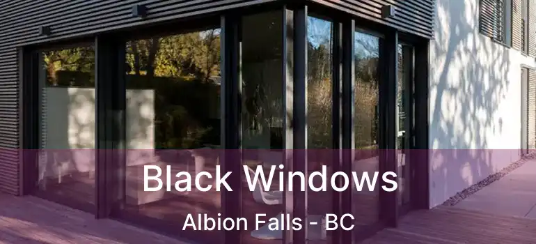  Black Windows Albion Falls - BC