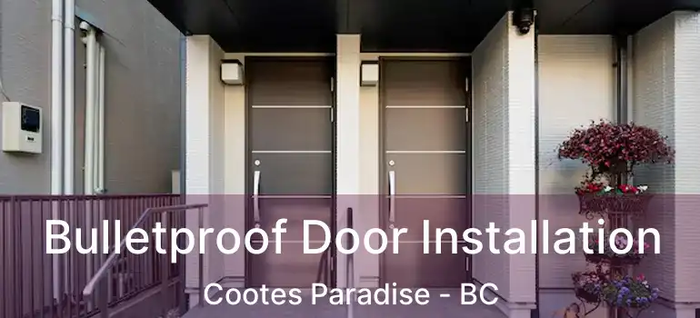  Bulletproof Door Installation Cootes Paradise - BC