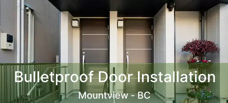  Bulletproof Door Installation Mountview - BC