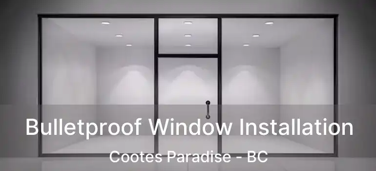  Bulletproof Window Installation Cootes Paradise - BC