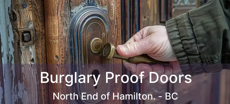  Burglary Proof Doors North End of Hamilton. - BC