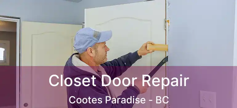  Closet Door Repair Cootes Paradise - BC